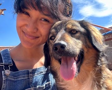 IVHQ Animal Care volunteer project in Cusco, Peru