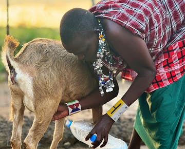 An IVHQ Maasai Immersion project volunteer in Tanzania